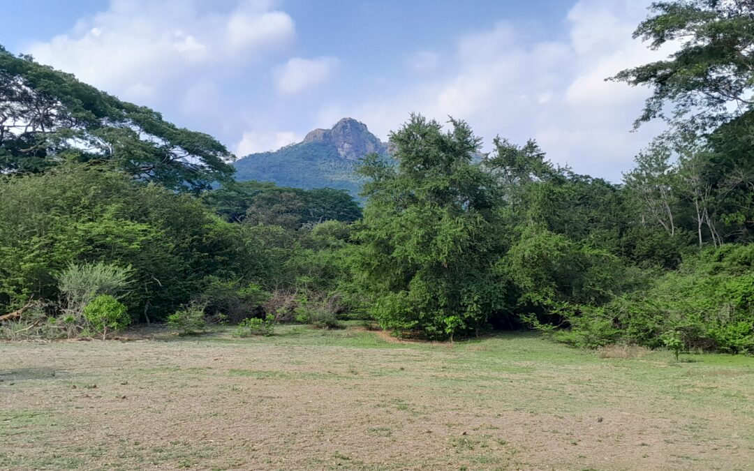 Artículo 03